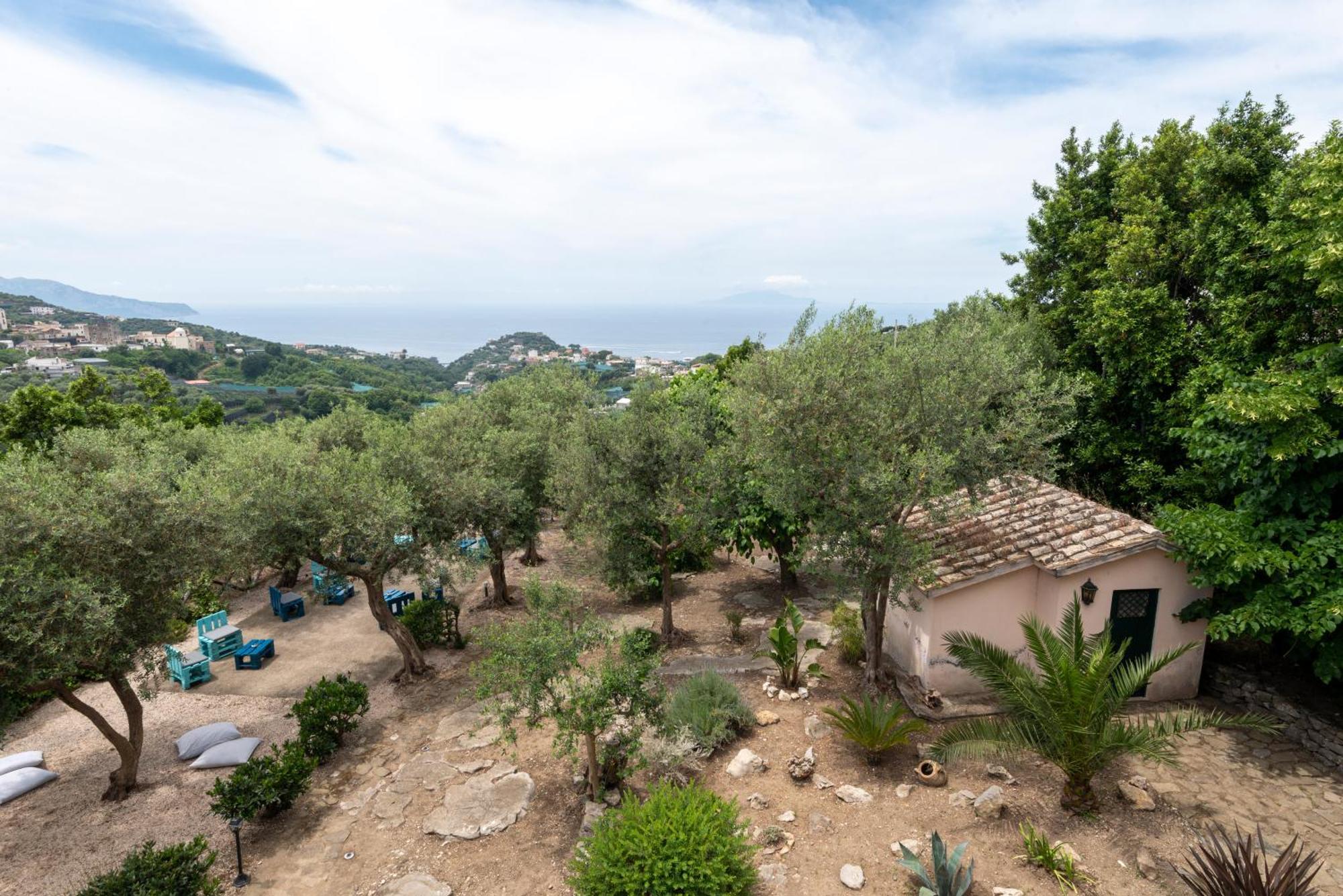 Villa Il Turro Massa Lubrense Exterior photo
